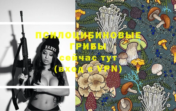 меф Горнозаводск