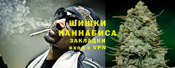 хмурый Горняк